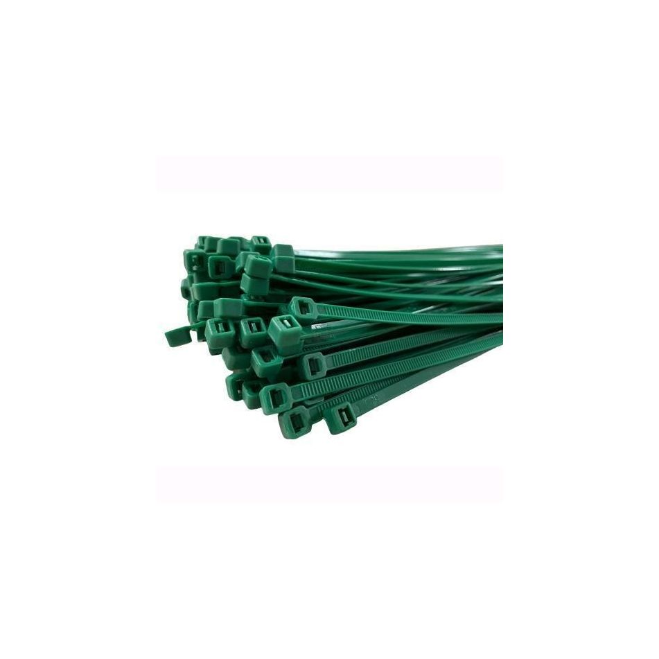 fascette-nylon-verdi-25x100mm-100pz