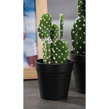 VASO C/CACTUS X DECORAZ DIAM9,5XH20