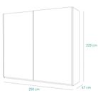 armadio-scorrevole-systema-250x67xh223cm-oak-miele