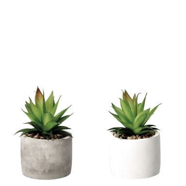 VASO CON PIANTA GRASSA DECORATIVA D.10XH18CM IN 2