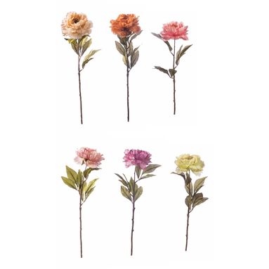 PEONIA 60CM IN 6 COLORI