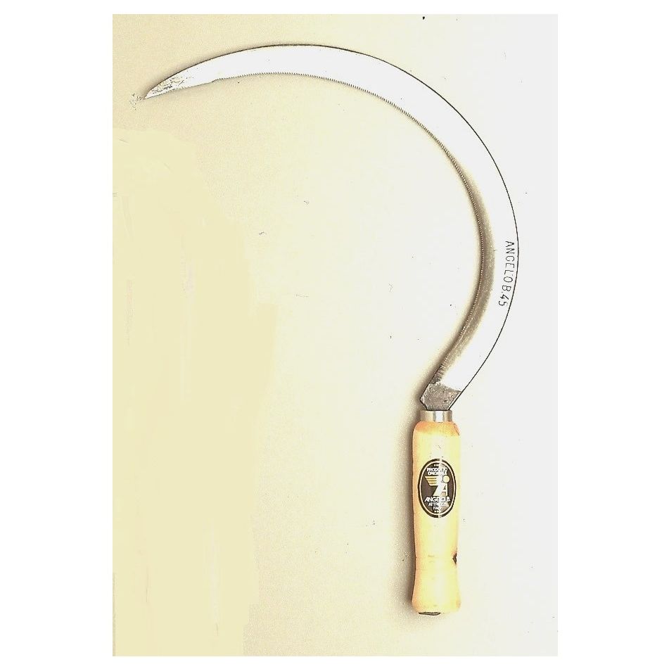 falciola-dentata-40cm