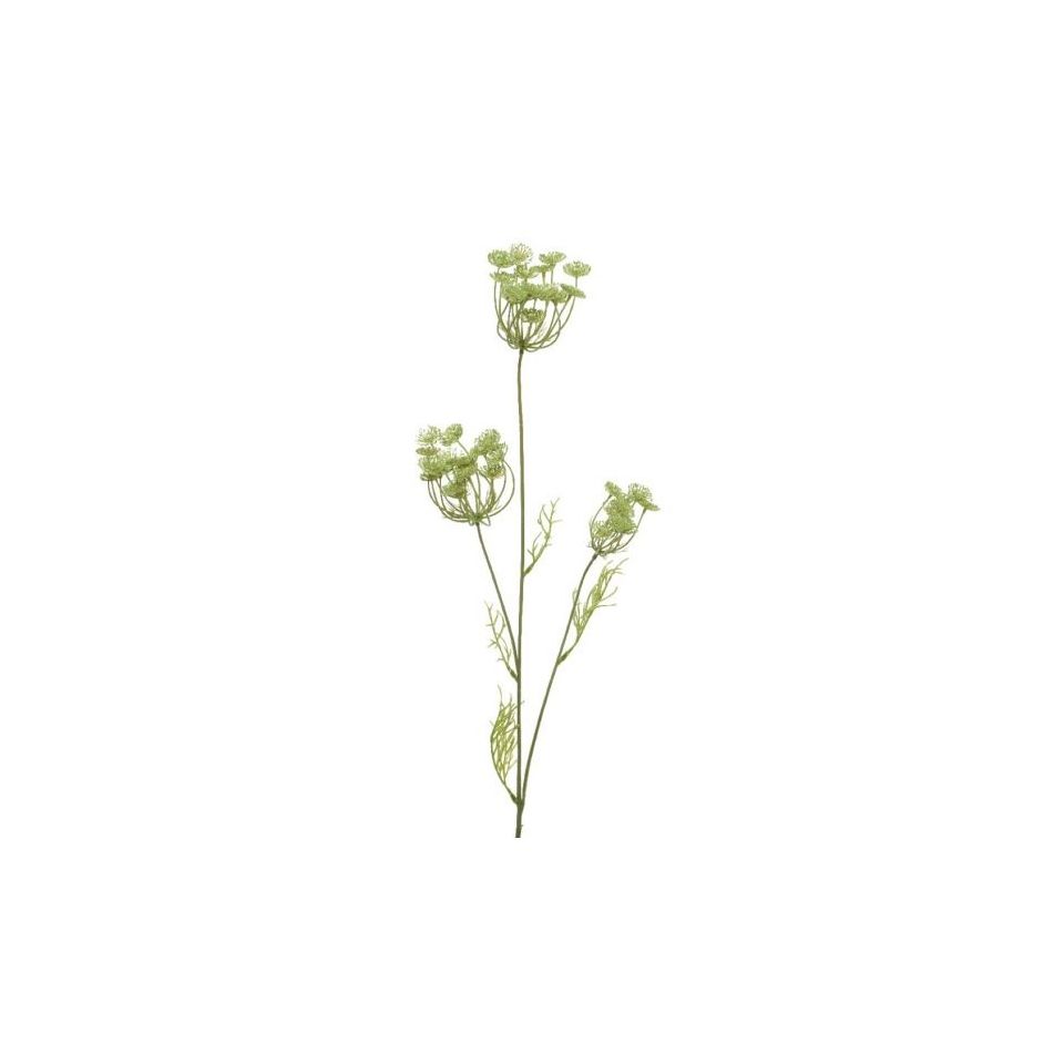 fiori-in-stelo