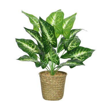 CALATEA DECORATIVA H42CM IN VASO SIMIL NATURALE.