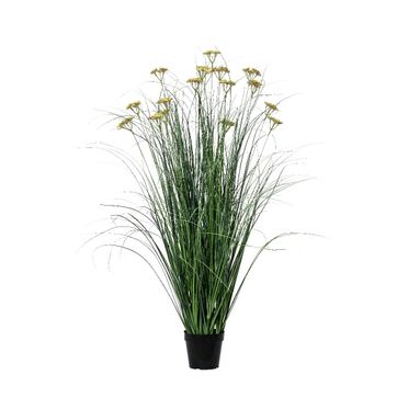 PIANTA CLINOPODIUM 60X60XH122CM IN VASO PVC GIALL.