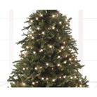 catena-di-luci-led-8-funzioni-led-1350cm