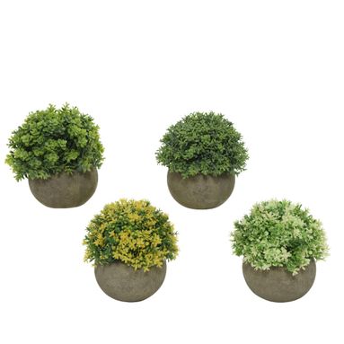 VASO HEDGE D.12XH13CM CON PIANTA.