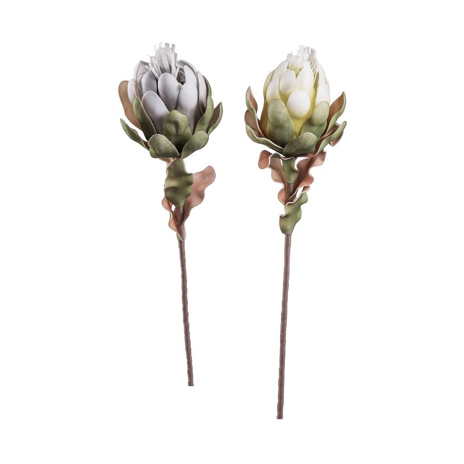 protea-prince-75cm-in-2-colori