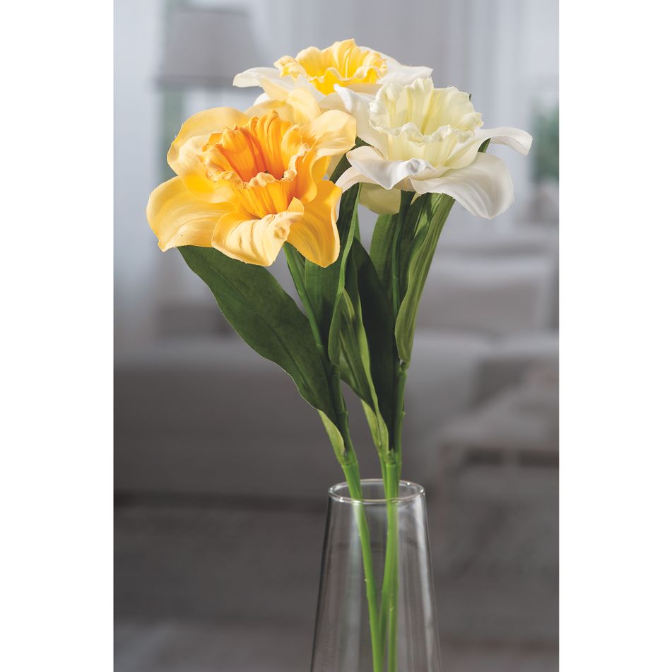 narciso-x-decorazione-ass3col-cm63