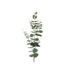 rametto-con-stelo-h33cm-in-12-modelli