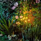 ramo-solare-h70cm-6-led-nero-a-luce-calda