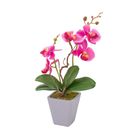 vaso-con-orchidea-d-dot-8xh34cm-in-4-colori-con-5-fior