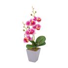 vaso-con-orchidea-d-dot-8xh34cm-in-4-colori-con-5-fior