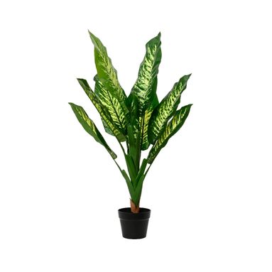 VASO CON DIEFTENBACHIA D.60XH90CM IN PLASTICA.