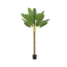 pianta-di-banano-120x100xh180cm-in-plastica