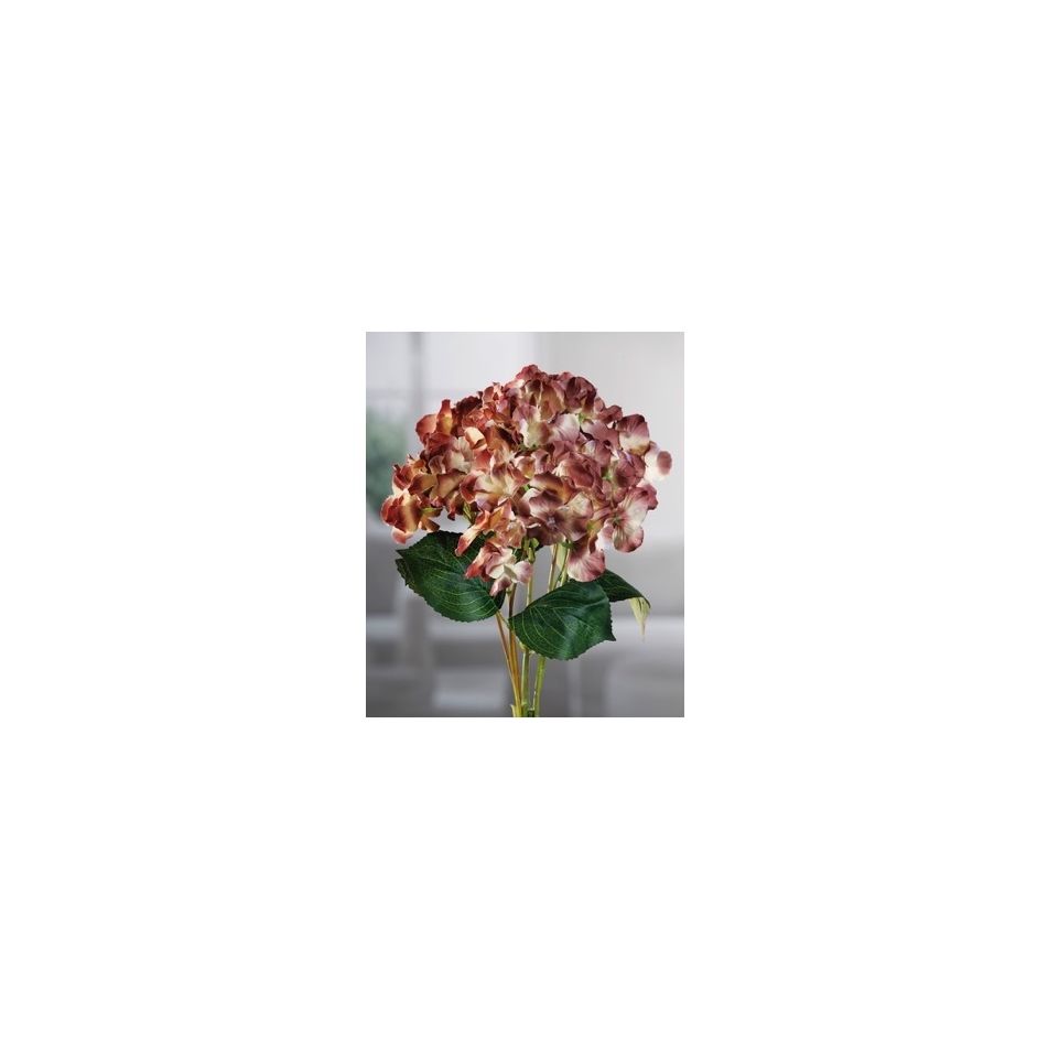 bouquet-ortensie-7fio-x-dec-4c-cm45