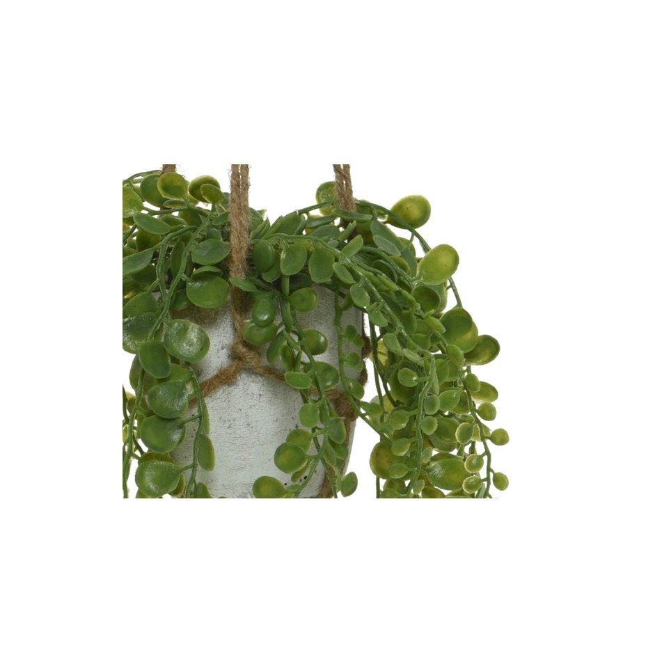 vaso-pensile-grigio-d-dot-10xh15cm-con-pianta
