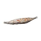 composizione-con-conchiglie-40x8xh5cm-in-3-colori