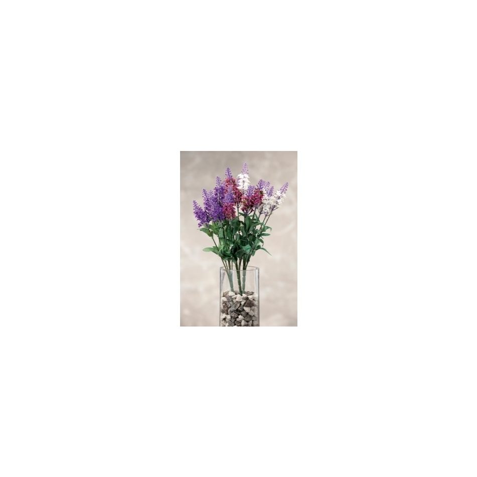 ramosc-lavanda-ass3col-cm38