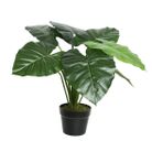 vaso-con-alocasia-69x69xh52cm-di-plastica