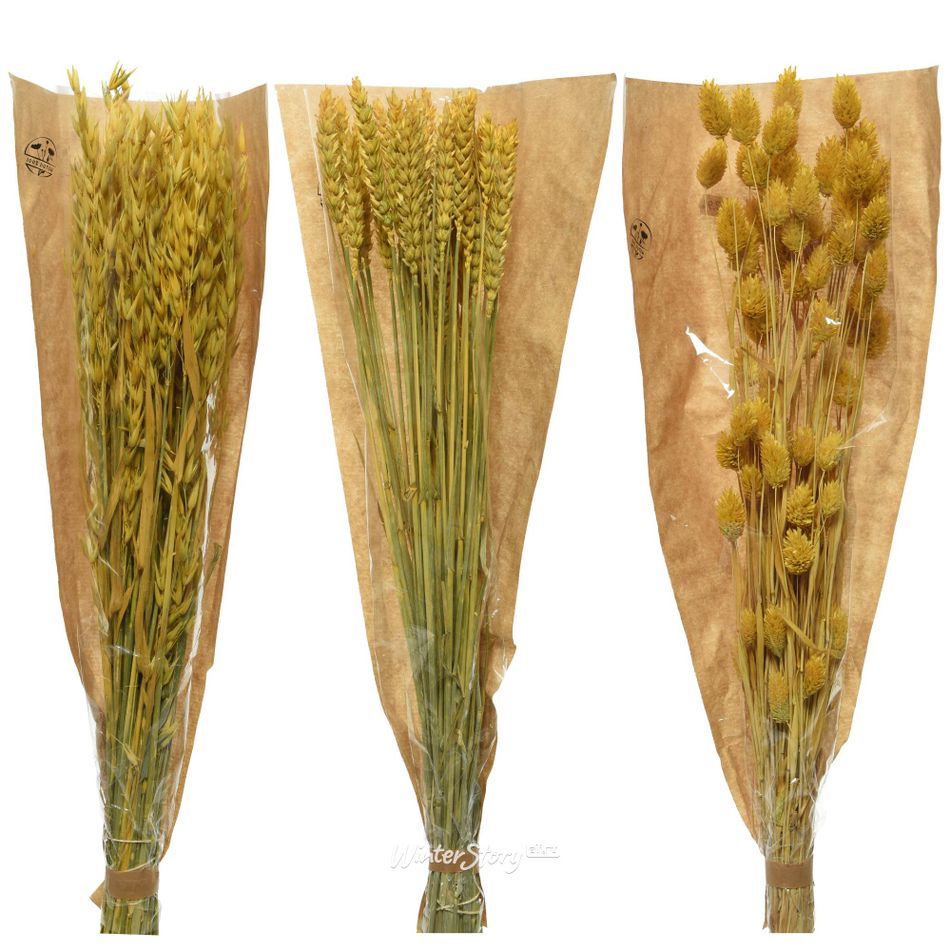 mazzetto-fiori-secchi-giallo-25x10x50cm