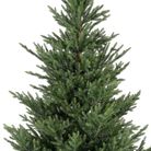 albero-norway-spruce-h300cm-7614-rami-d-dot-193cm
