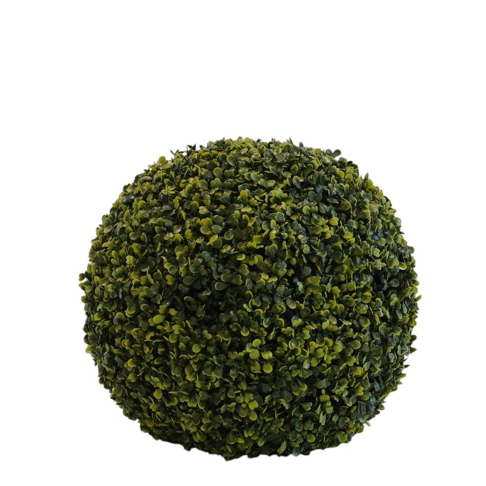 greenball-boxwood-d-dot-28cm-verde