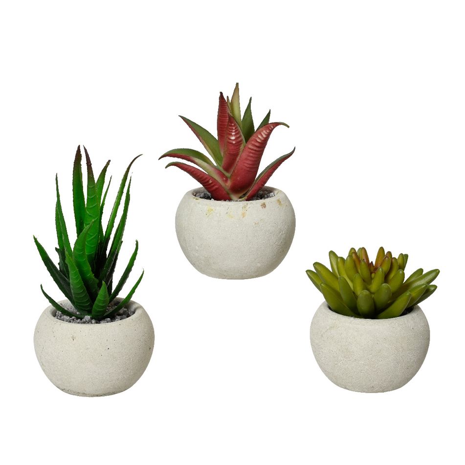 vaso-con-aloe-bianco-d-dot-7xh12cm-in-plastica-3-mod