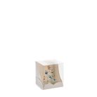 albero-55xh65cm-in-box-6-modelli