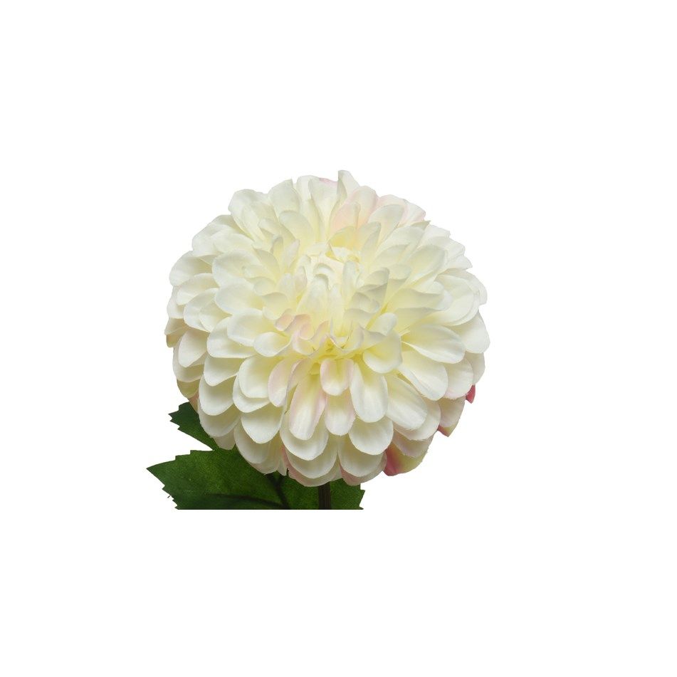 dalia-decorativa-crema-h75cm