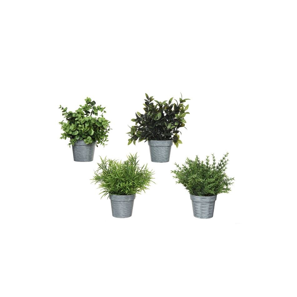 vaso-con-piantina-h21cm-in-4-modelli