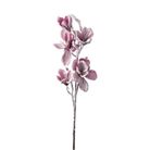 magnolia-innevata-cm92-rosa-slash-bianca