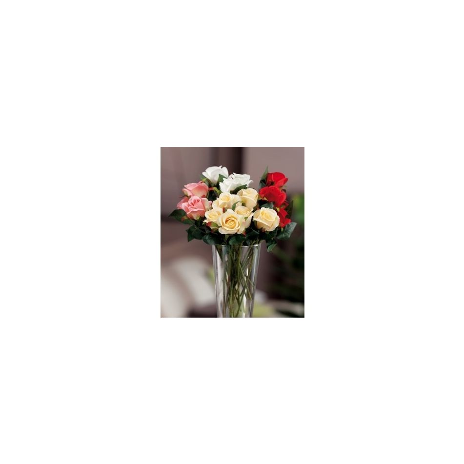 bouquet-rose-6fiori-ass4col-cm27