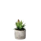 vaso-con-pianta-grassa-decorativa-d-dot-10xh18cm-in-2-7bcada