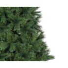 albero-ontario-h240cm-1242-rami