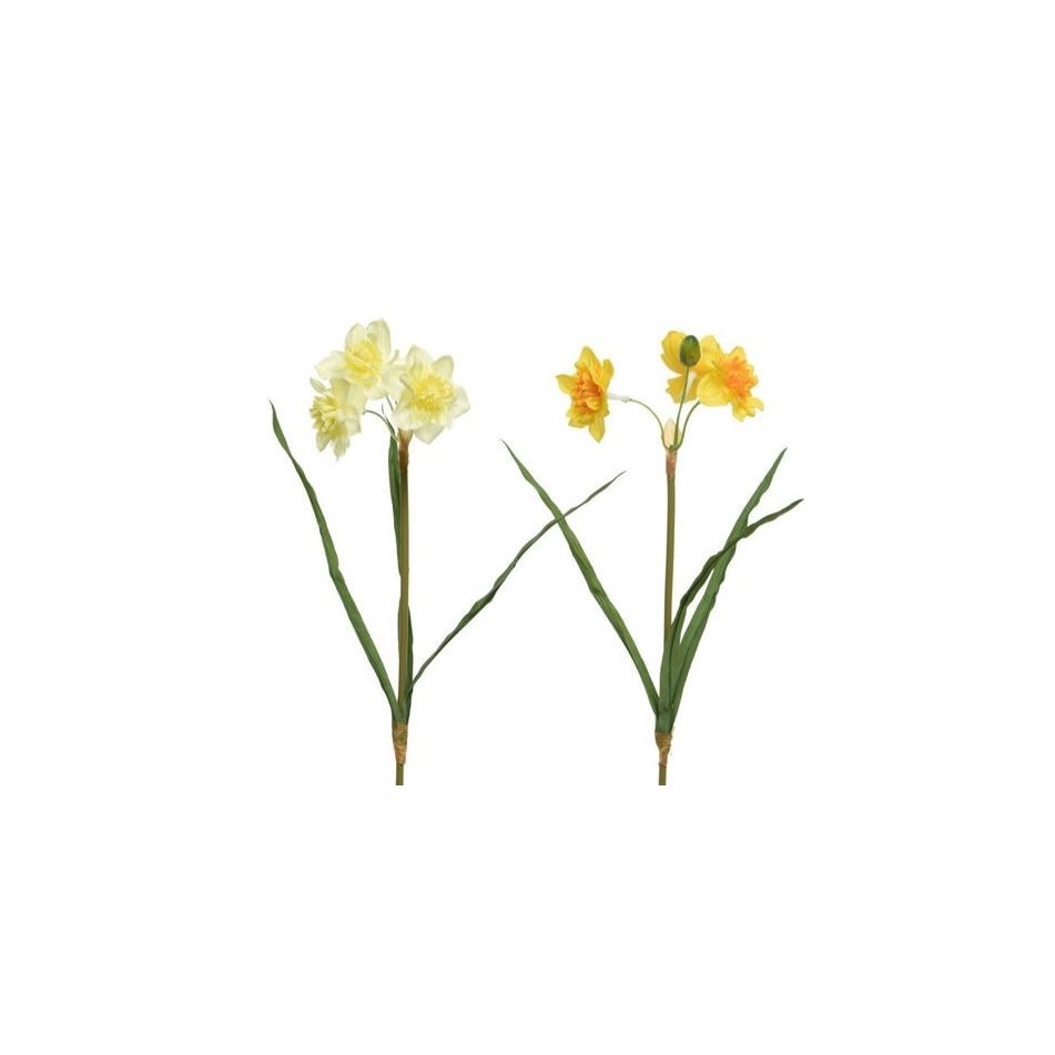 narciso-40cm