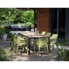 keter-sedia-elisa-54x61xh79cm-verde-cedro-in-resina