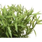 vaso-intrecciato-con-erbetta-d-dot-16xh30cm