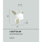 applique-isotta-e14-h35cm-avorio-slash-oro