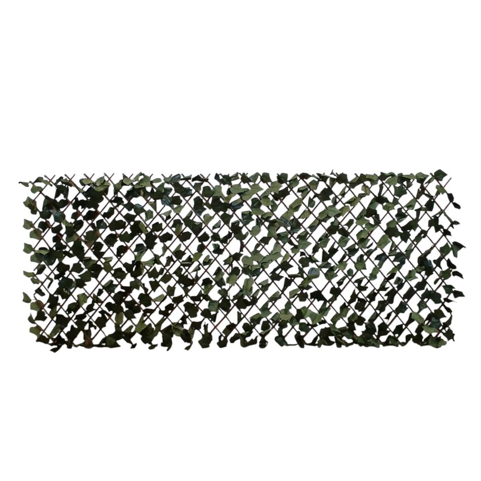 traliccio-estensibile-siepe-ivy-100x200cm-verde