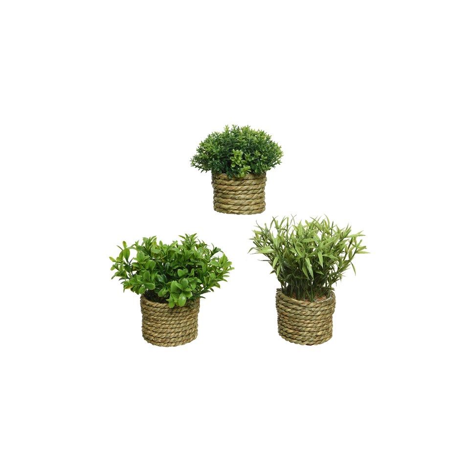 vaso-intrecciato-con-erbetta-d-dot-16xh30cm