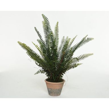 VASO CON FELCE 60XH60CM