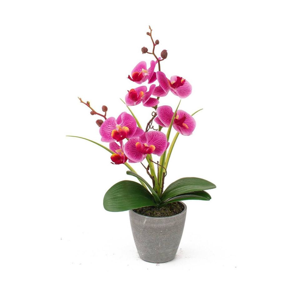 vaso-con-orchidea-a-7-fiori-d-dot-10xh38cm-in-4-colori
