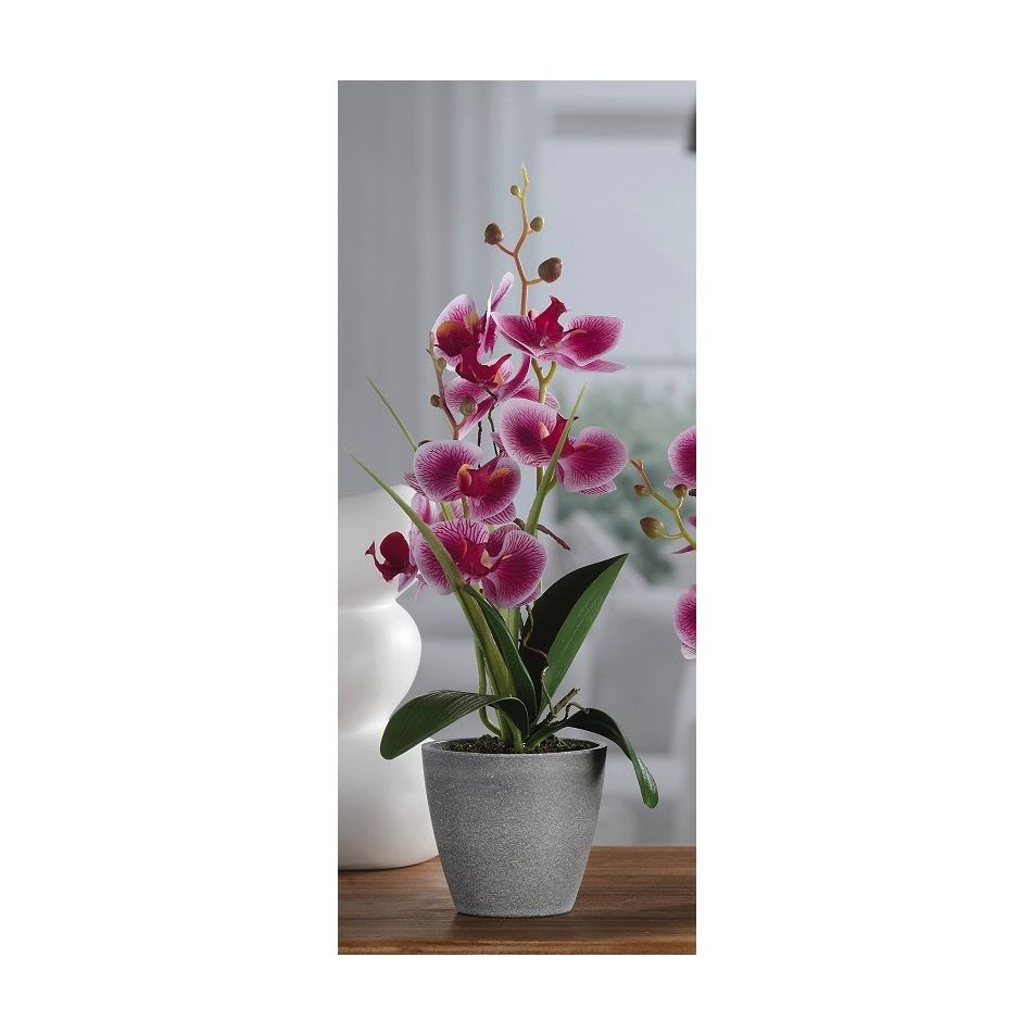 vaso-con-orchidea-a-7-fiori-d-dot-10xh38cm-in-4-colori