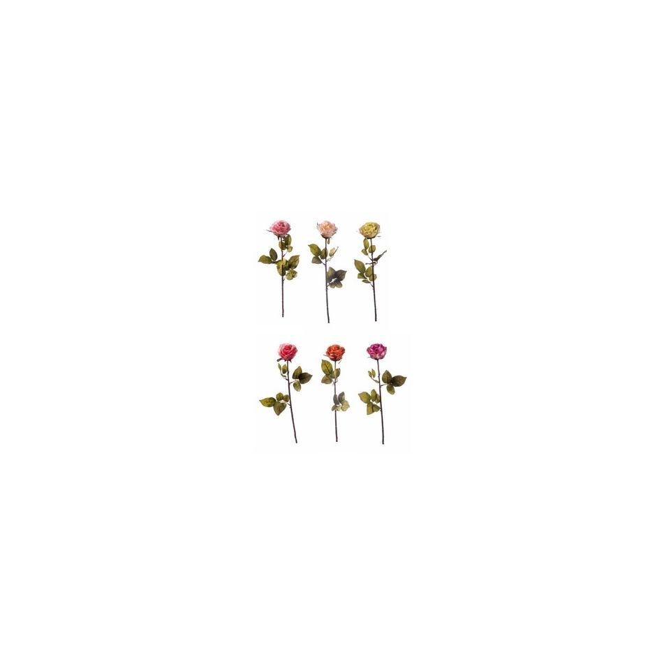 rosa-67cm-in-6-colori