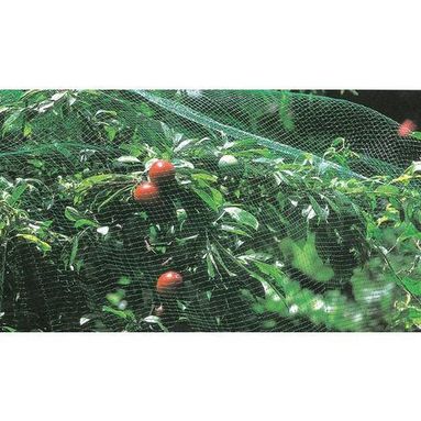 RETE ANTI UCCELLI 2X10M NERA