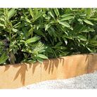 cordolo-demi-provence-5x50xh20cm-in-cemento