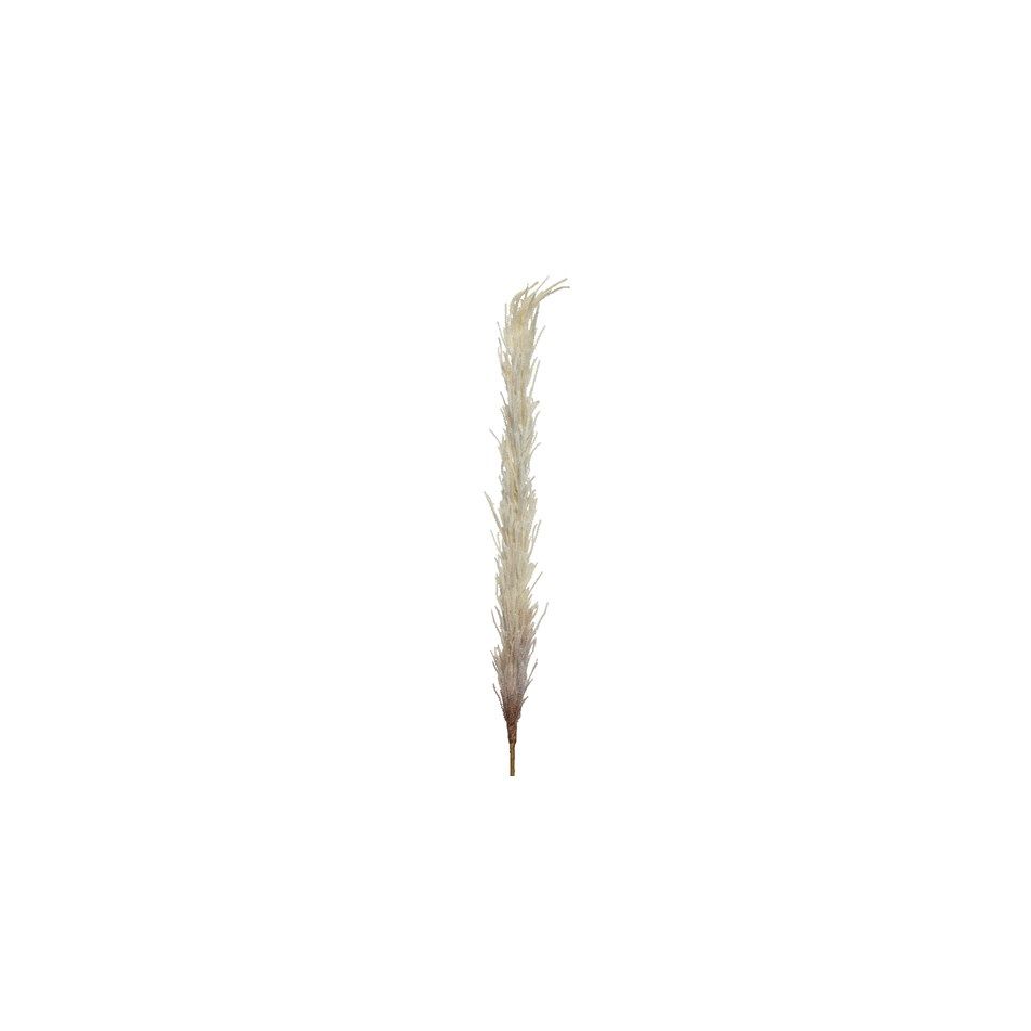 pampas-decorativa-crema-h100cm