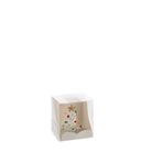 albero-55xh65cm-in-box-6-modelli