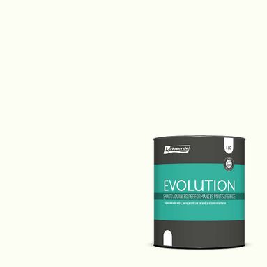 SMALTO EVOLUTION SETA 750ML RAL 9010